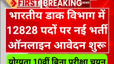 इंडियन पोस्ट भर्ती 2023 की अंतिम तिथि क्या है? इंडिया पोस्ट जीडीएस के 12828 पदों पर भर्ती का नोटिफिकेशन जारी: इंडिया पोस्ट ग्रामीण डाक सेवक भर्ती 2023 का नोटिफिकेशन जारी हो गया है। भारतीय डाक विभाग द्वारा ग्रामीण डाक सेवक के 12828 पदों पर भर्ती का नोटिफिकेशन जारी किया है। India Post GDS Recruitment 2023 के लिए योग्य एवं इच्छुक अभ्यर्थी ऑफिशियल वेबसाइट के माध्यम से ऑनलाइन आवेदन कर सकते हैं। India Post GDS Recruitment 2023 के लिए ऑनलाइन आवेदन करने की प्रोसेस और डायरेक्ट लिंक नीचे उपलब्ध करवा दिया है। India Post GDS Recruitment 2023 के लिए ऑनलाइन आवेदन 22 मई से 11 जून 2023 तक कर सकते हैं। India Post GDS Recruitment 2023 के लिए योग्यता, आयु सीमा, आवेदन शुल्क एवं सभी जानकारी नीचे दी गई है। अभ्यर्थी आवेदन करने से पहले एक बार ऑफिशल नोटिफिकेशन जरूर देख लें।