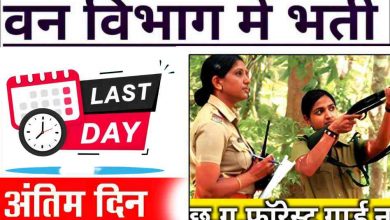 जो उम्मीदवार फॉरेस्ट डिपार्मेंट बिलासपुर भर्ती 2024 के लिए आवेदन करना चाहते हैं सुबह दिए गए निर्धारित प्रारूप में आवेदन भरकर दिनांक 8 फरवरी 2024 दिन गुरुवार को शाम 5:00 बजे तक वन मंडल अधिकारी बिलासपुर वन मंडल बिलासपुर छत्तीसगढ़ में आवेदन रजिस्टर्ड स्पीड पोस्ट के माध्यम से जमा कर सकते हैं।